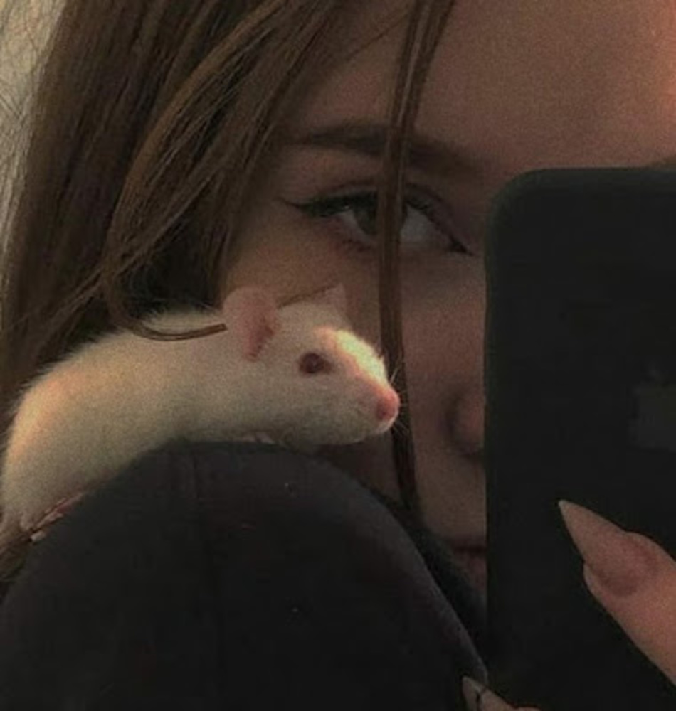Meet your Posher, Hana